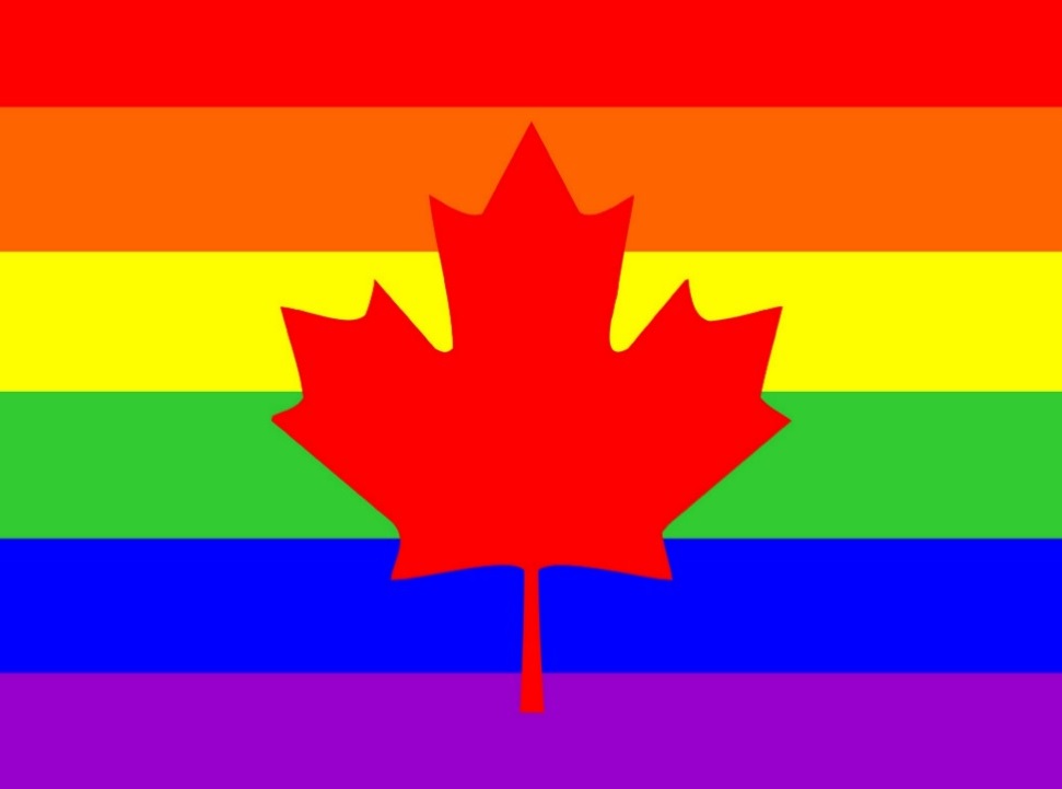 Lesbian Gay Bisexual Canadians Report Higher Rates Of Mental Health 